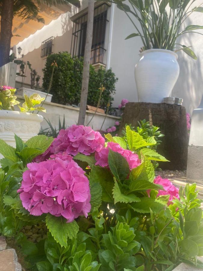 Casa Los Encinares 코르도바 외부 사진