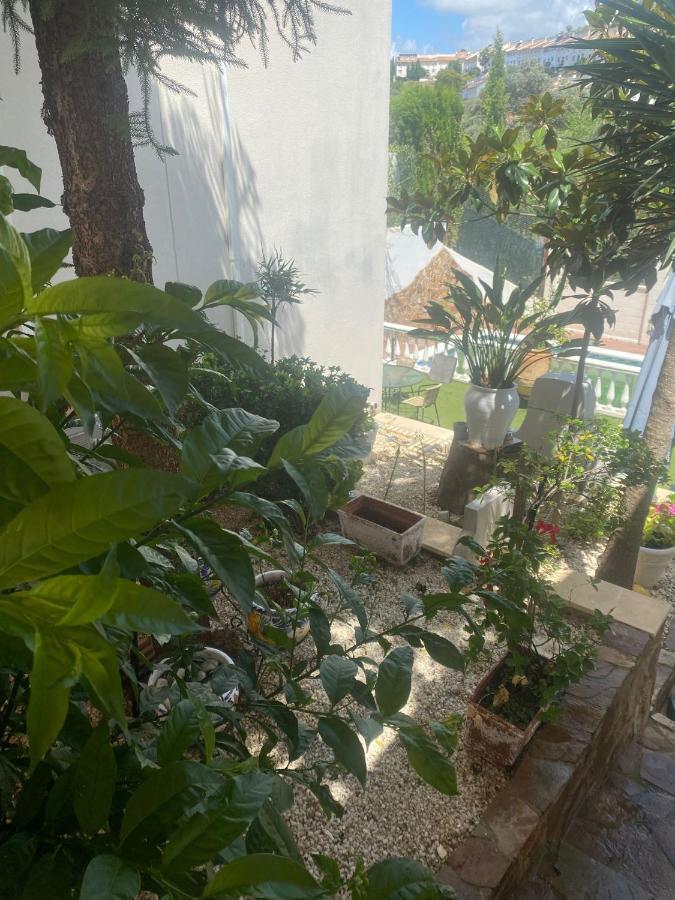Casa Los Encinares 코르도바 외부 사진